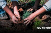 Jalisco reforestó 319 mil árboles en 2026 y sobrepasó la meta estatal