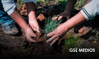 Jalisco reforestó 319 mil árboles en 2026 y sobrepasó la meta estatal