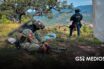 Destruyen cuatro plantíos de marihuana en Nayarit