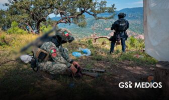 Destruyen cuatro plantíos de marihuana en Nayarit