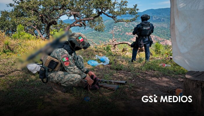 Destruyen cuatro plantíos de marihuana en Nayarit