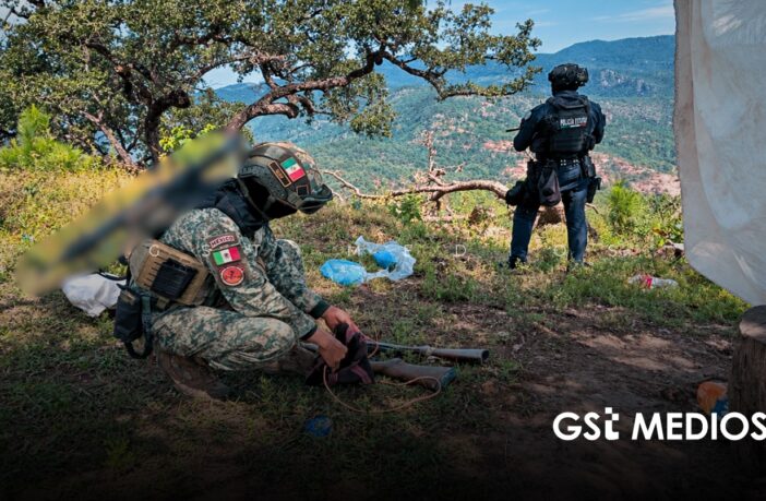 Destruyen cuatro plantíos de marihuana en Nayarit