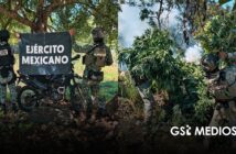 Nayarit reporta nuevos resultados en operativos de seguridad