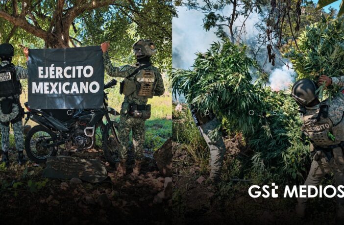 Nayarit reporta nuevos resultados en operativos de seguridad