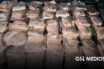 Sentencian a hombre por transportar 41 buches de totoaba en Sonora; pagará más de 19 millones de pesos