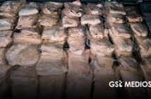 Sentencian a hombre por transportar 41 buches de totoaba en Sonora; pagará más de 19 millones de pesos