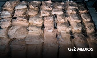 Sentencian a hombre por transportar 41 buches de totoaba en Sonora; pagará más de 19 millones de pesos