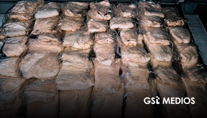 Sentencian a hombre por transportar 41 buches de totoaba en Sonora; pagará más de 19 millones de pesos
