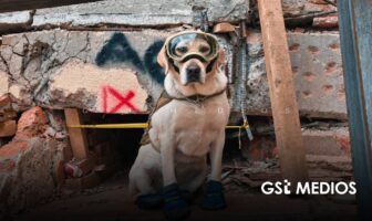 Semar honra a sus héroes caninos en el 60 aniversario del Plan Marina