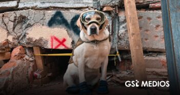 Semar honra a sus héroes caninos en el 60 aniversario del Plan Marina