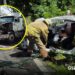 Choque frontal en Cabo Corrientes deja una persona gravemente herida