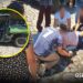 Tuki-RZR atropella a una mujer en la colonia Ramblases