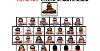 Detienen a 27 integrantes del grupo delictivo 'Los Alfas'