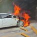 Se incendia vehículo en la colonia La Floresta de Puerto Vallarta