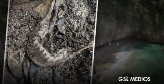 Hallan mandíbula humana en playa Paredón de Puerto Vallarta
