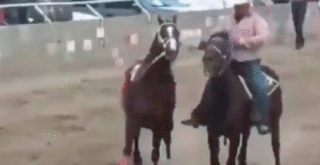 Siete muertos deja balacera en carrera de caballos en Parral, Chihuahua