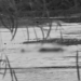 Localizan el cuerpo de un hombre en el río Mascota