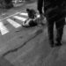 Empleada de hotel gravemente lesionada tras brutal accidente vial en Marina Vallarta