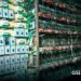 Desmantelan granja clandestina de criptomonedas en Puebla