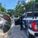 Tras intensa persecución, policías logran detener a astuto ladrón en Puerto Vallarta