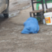 Mujer pierde la vida tras desplomarse frente a una taquería en Las Mojoneras